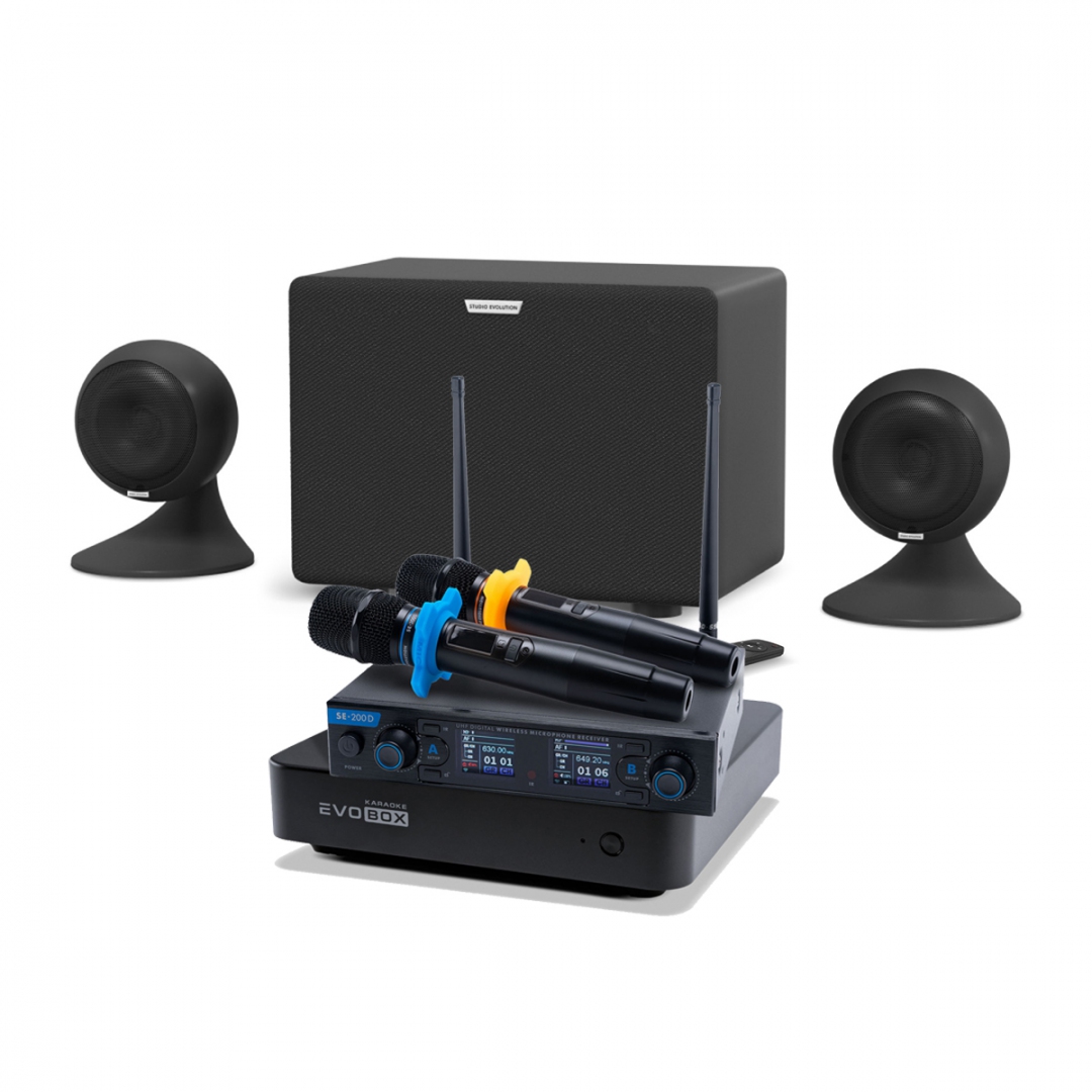 караоке-комплект EVOBOX + EvoSound Sphere 2.1 в Чебоксарах