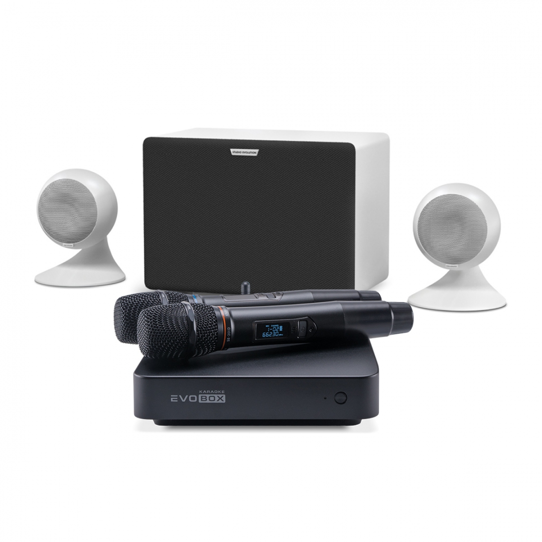 караоке-комплект EVOBOX Classic + EvoSound Sphere 2.1 в Чебоксарах