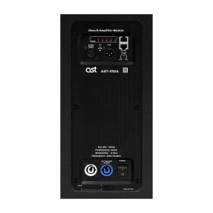 Активная акустическая система AST-310A в Чебоксарах