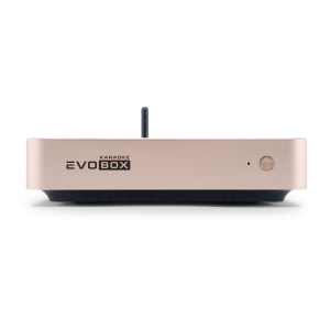 EVOBOX Classic караоке-система для дома в Чебоксарах