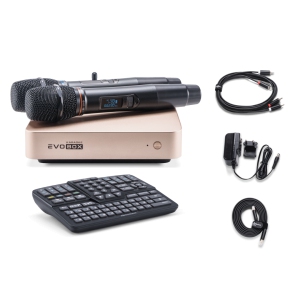 EVOBOX Classic караоке-система для дома в Чебоксарах