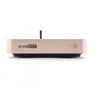 EVOBOX Plus караоке-система для дома в Чебоксарах