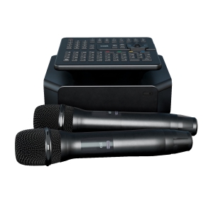караоке-комплект для Дома AST ZOOM 1/2 и EvoSound Bar (Саундбар с караоке) в Чебоксарах